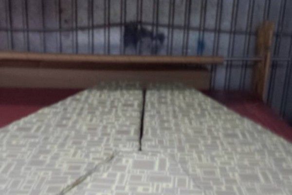 pane6812xnCEB1B65E-7DF2-AE8A-FB00-43311B0FAB0B.jpg